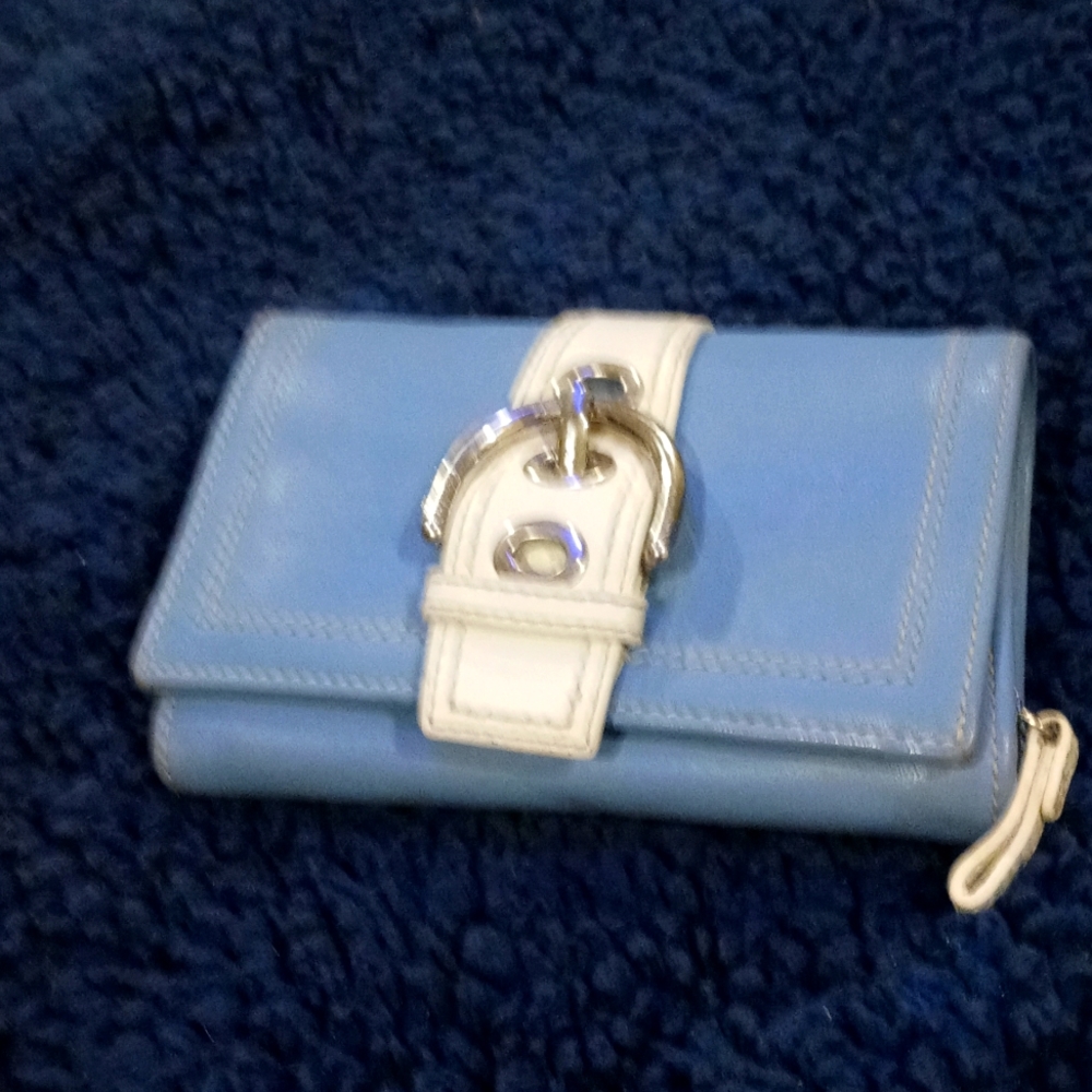 A light blue and white wallet